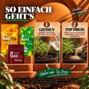 Green House Feeding 3-Teiliges Dünger Set Long Flowering – Kompakt Blütedünger