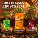 Green House Feeding 3-Piece Fertilizer Set for Short Flowering – Compact Bloom Nutrients