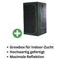Dark Box Grow Zelt 60x60x180 cm