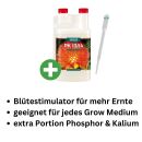 Canna PK 13/14 250 ml – Blütebooster Pflanzen
