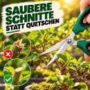 Bonsai Scissors – Precision Plant Shears