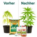 Canna Coco Mix Set Small – Kokos Substrat Grow