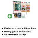 Canna Terra Prof. Erde-Set Medium – Grow Erde...