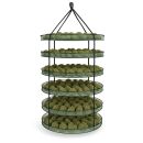 Drying Net Ø 90 cm 6-Layer – Plant Drying Hanging Net
