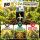 BioTabs Bio PK 5-8 1 Liter – Organic Bloom Fertilizer