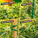 Pflanzendraht Grün 5 mm x 5 Meter – Pflanzen...