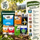 BioTabs 7-Teiliges Dünger Set XL – Organischer...