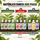 BioBizz 10-Piece All-Star XXL Fertilizer Set – Bio Grow Nutrient