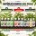 BioBizz 11-Piece All-Star XXXL Fertilizer Set – Bio Grow Nutrient
