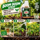 Biotabs Boom Boom Spray 100 ml – Plant Strengthening Leaf Spray
