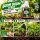 Biotabs Boom Boom Spray 250 ml – Plant Strengthening Leaf Spray