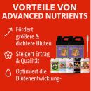 Advanced Nutrients 7-teiliges Dünger Set L – Pflanzen Nährstofflösung Set