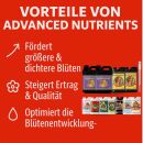Advanced Nutrients 7-Piece XL Nutrient Solution Set for...