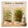 BioBizz Top Max 1 Liter – Organic Bloom Stimulator