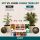 Canna 10-Piece Nutrient Set – Plant Fertilizer Kit