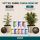 Canna 8-Piece Mono Nutrient Set – Individual Nutrient Fertilizer Set