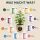 Canna 8-Piece Mono Nutrient Set – Individual Nutrient Fertilizer Set