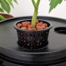 7 cm Mesh Pot – Hydroponic Net Pot