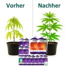 Plagron 13-Teiliges Dünger Set COCO L – Kokos Substrat Dünger Set