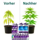 Plagron 14-Piece Hydro Nutrient Set XXXXL – Complete Hydroponic Nutrient Package