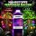 Plagron pH+ Plus 5 Liter – pH-Regulator Pflanzen