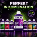 Plagron Power Buds 250 ml – Bloom Fertilizer for Plants