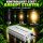 Dimmable 600 Watt Ballast – Grow Light