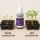Plagron Seedbooster Germination Kit – Plant Germination Stimulator