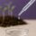Plagron Seedbooster Germination Kit – Plant Germination Stimulator