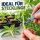Sterile Scalpel Blades – Pack of 5