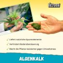 Bio2Grow Algae Lime 1 Kg – Soil Additive for Plants