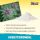 Bio2Grow Rock Dust 250 grams – Mineral Soil Additive