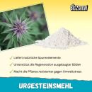 Bio2Grow Rock Dust 500 Grams – Mineral Soil Additive