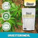 Bio2Grow Urgesteinsmehl 2 Kg – Mineralischer Bodenzusatz