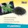 Bio2Grow Plant Charcoal 1 Liter – Soil Additive for Nutrient Retention