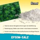 Bio2Grow Epsom Salt 2 Kg – Magnesium Sulfate Plant Booster