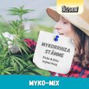 Bio2Grow Myko-Mix 250 Gramm – Mykorrhiza Pilzmischung Wurzelwachstum