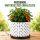 Root Plus Pflanztopf 3 Liter