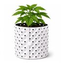 Root Plus Pflanztopf 45 Liter