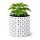 Root Plus Plant Pot 6.5 Liters