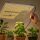 LED Farming Monkey Super Board 150 Watt