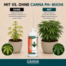 Canna ph- Minus Wuchs 1 Liter