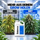 Athena Balance Dünger 0,94 Liter