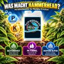 Advanced Nutrients Hammerhead 1 Liter - PK Booster...