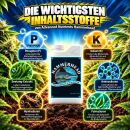 Advanced Nutrients Hammerhead 250 ml - PK Booster Fertilizer