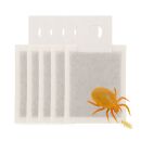 N. Cucumeris Sachets 5 pcs - Against Thrips