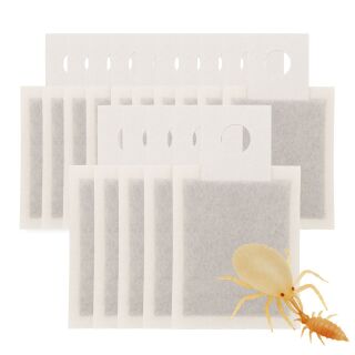 A. Swirskii Sachets 15 pcs - Against Thrips & Spider Mites