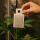 A. Swirskii Sachets 15 pcs - Against Thrips & Spider Mites