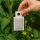 A. Swirskii Sachets 15 pcs - Against Thrips & Spider Mites