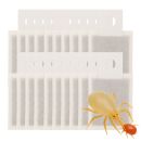 Amblyseius andersoni Sachet 25 pcs - Against Spider Mites
